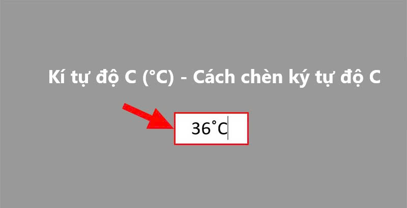 Cách chèn kí tự độ C